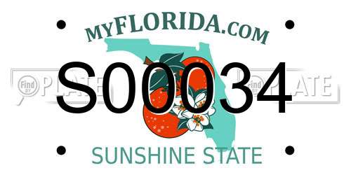 S00034 Florida License Plate