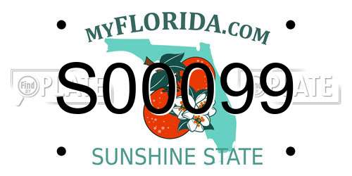 S00099 Florida License Plate