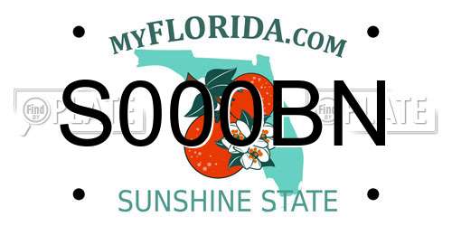 S000BN Florida License Plate