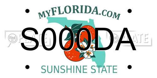 S000DA Florida License Plate