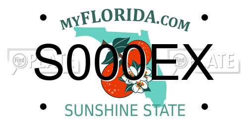 S000EX Florida License Plate