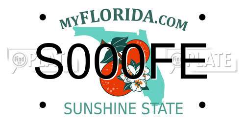 S000FE Florida License Plate