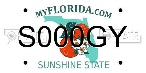 S000GY Florida License Plate
