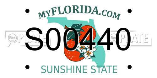 S00440 Florida License Plate