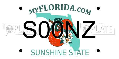 S00NZ Florida License Plate