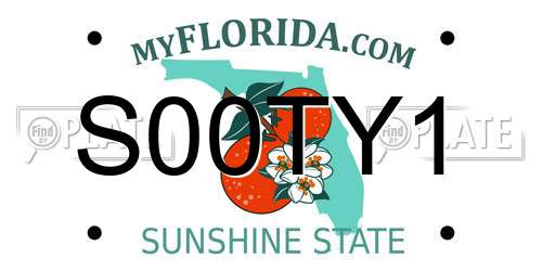 S00TY1 Florida License Plate