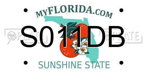 S011DB Florida License Plate