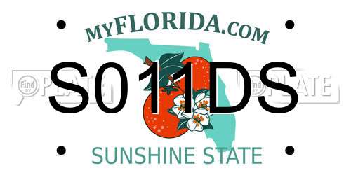 S011DS Florida License Plate