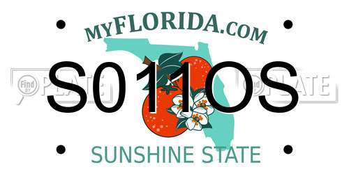 S011OS Florida License Plate