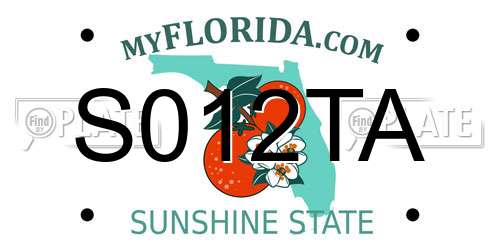 S012TA Florida License Plate
