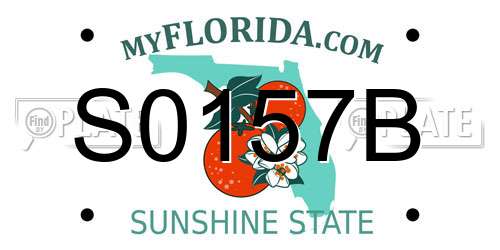 S0157B Florida License Plate