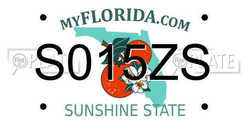 S015ZS Florida License Plate