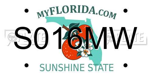S016MW Florida License Plate
