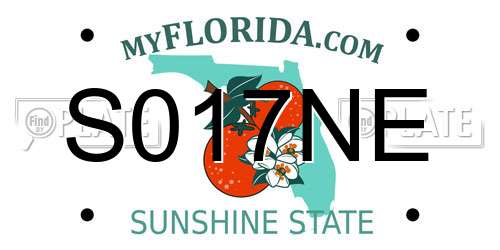 S017NE Florida License Plate
