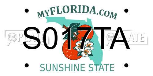 S017TA Florida License Plate