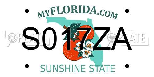 S017ZA Florida License Plate