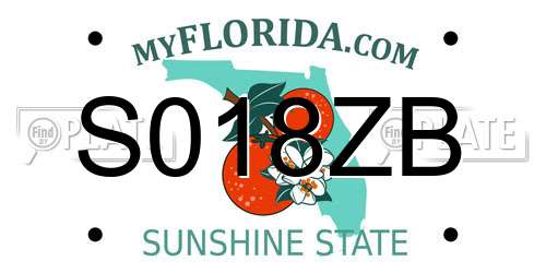 S018ZB Florida License Plate
