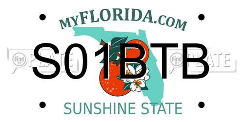 S01BTB Florida License Plate