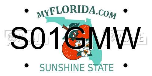 S01GMW Florida License Plate