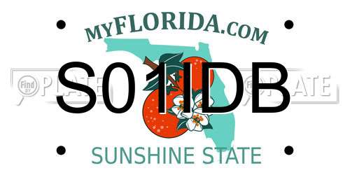 S01IDB Florida License Plate
