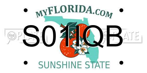 S01IQB Florida License Plate