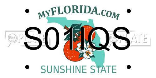 S01IQS Florida License Plate