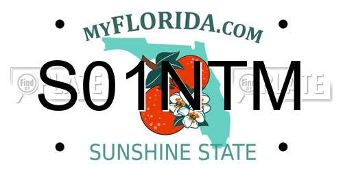 S01NTM Florida License Plate