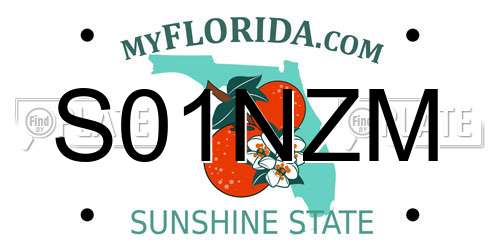 S01NZM Florida License Plate