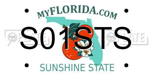 S01STS Florida License Plate