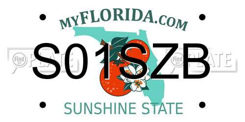 S01SZB Florida License Plate