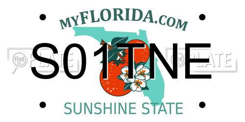 S01TNE Florida License Plate