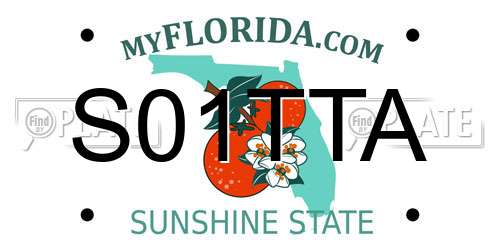 S01TTA Florida License Plate