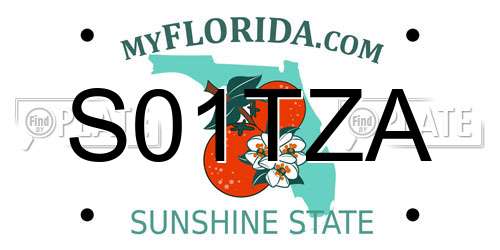 S01TZA Florida License Plate