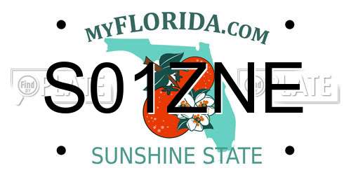 S01ZNE Florida License Plate