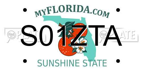S01ZTA Florida License Plate