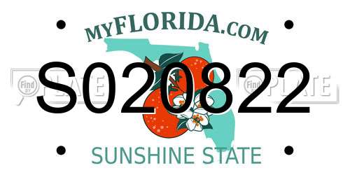 S020822 Florida License Plate