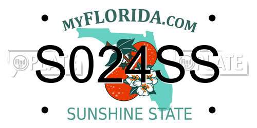 S024SS Florida License Plate