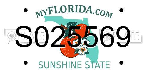 S025569 Florida License Plate