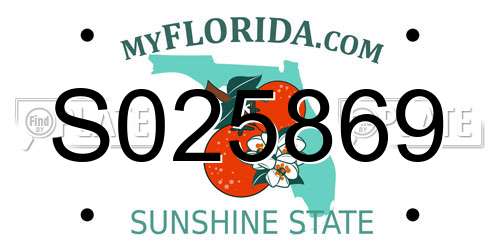 S025869 Florida License Plate