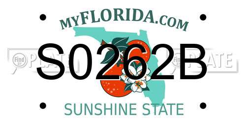 S0262B Florida License Plate