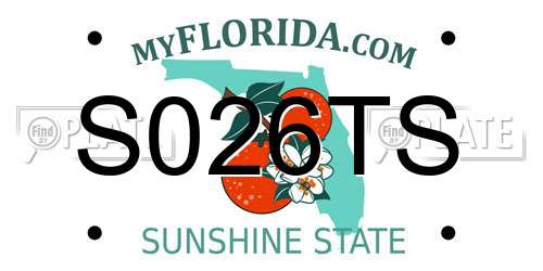 S026TS Florida License Plate