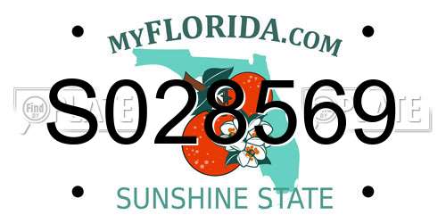 S028569 Florida License Plate