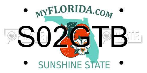 S02GTB Florida License Plate