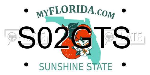 S02GTS Florida License Plate