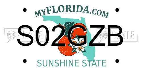 S02GZB Florida License Plate