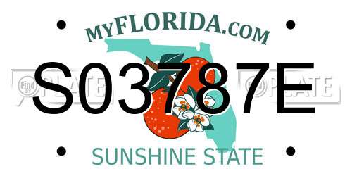 S03787E Florida License Plate