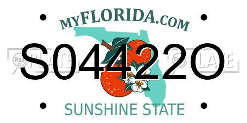S04422O Florida License Plate