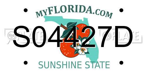 S04427D Florida License Plate