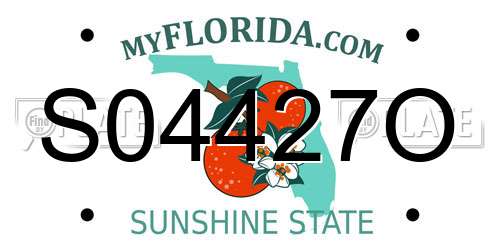 S04427O Florida License Plate