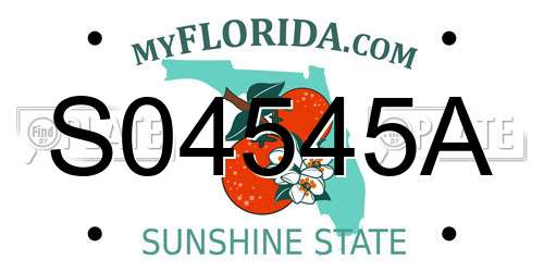 S04545A Florida License Plate